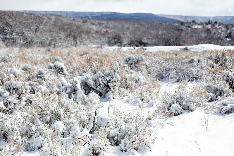 Grand Mesa Wintery Landscape科罗拉多